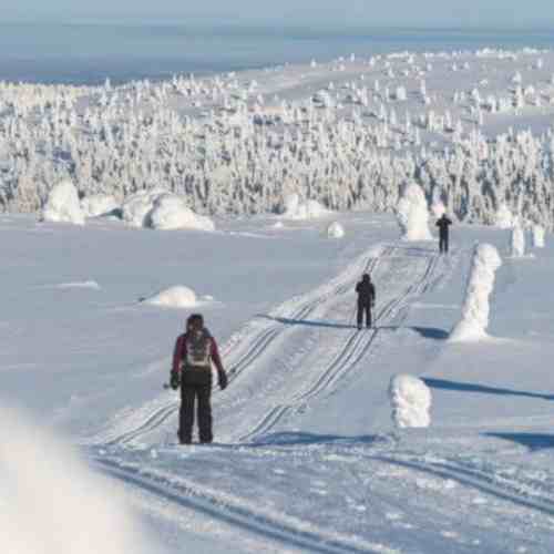 Pallas-Yllästunturi National Park​