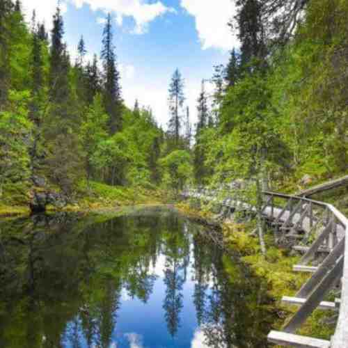 Pyhä-Luosto National Park