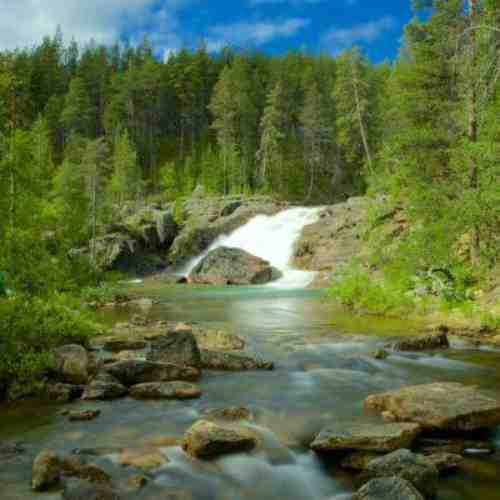 Lemmenjoki National Park​
